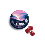 WILD BERRY CAMINO GUMMIES (100MG) (20PK)