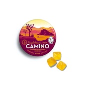 PINEAPPLE HABANERO CAMINO GUMMIES (100MG) (20PK)